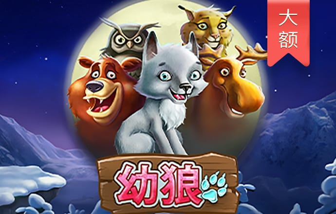 钱多多永久免费资料